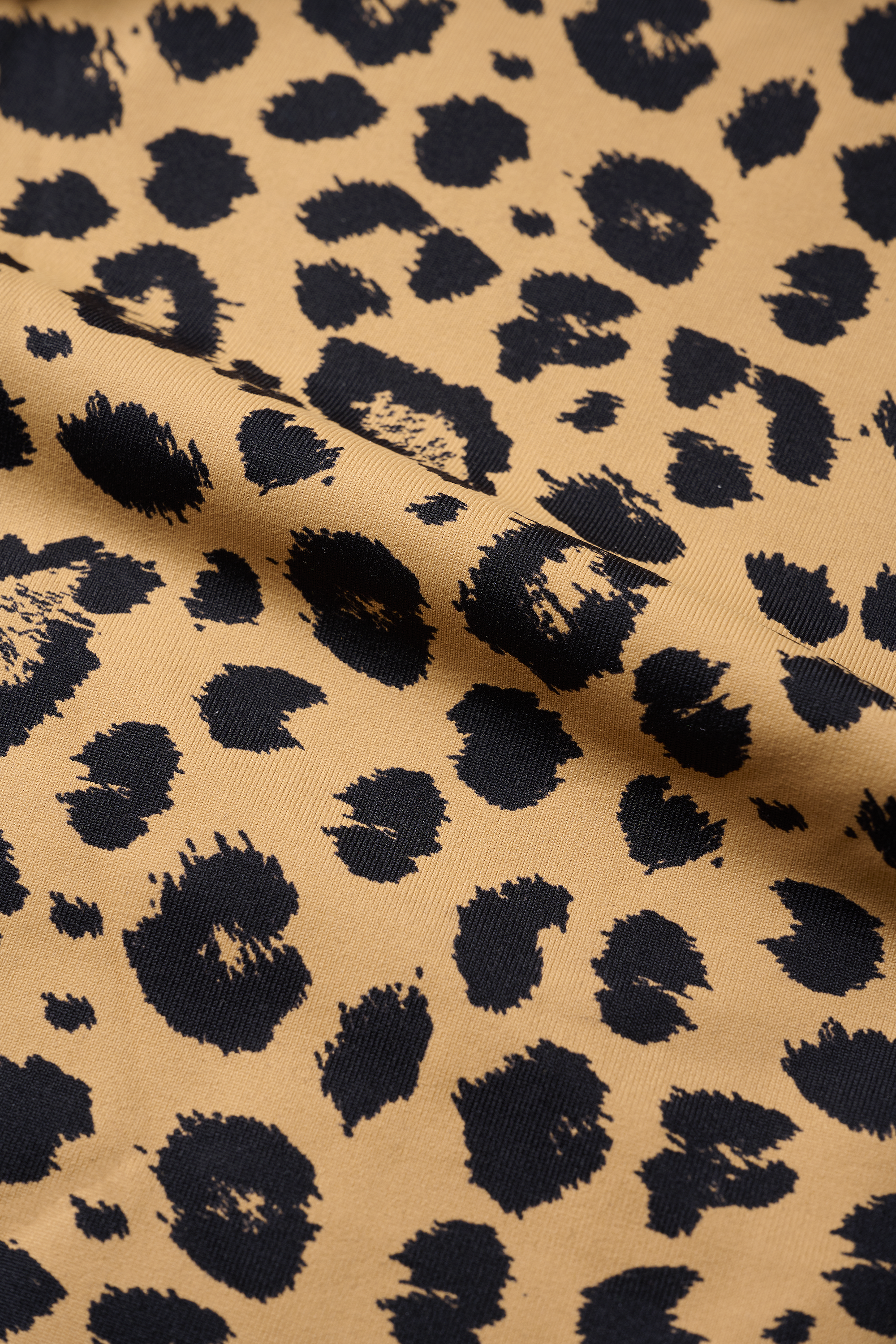 Leo Biscuit Set | Hey Honey & Active Wear
